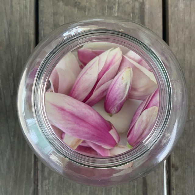 Pickled Magnolia