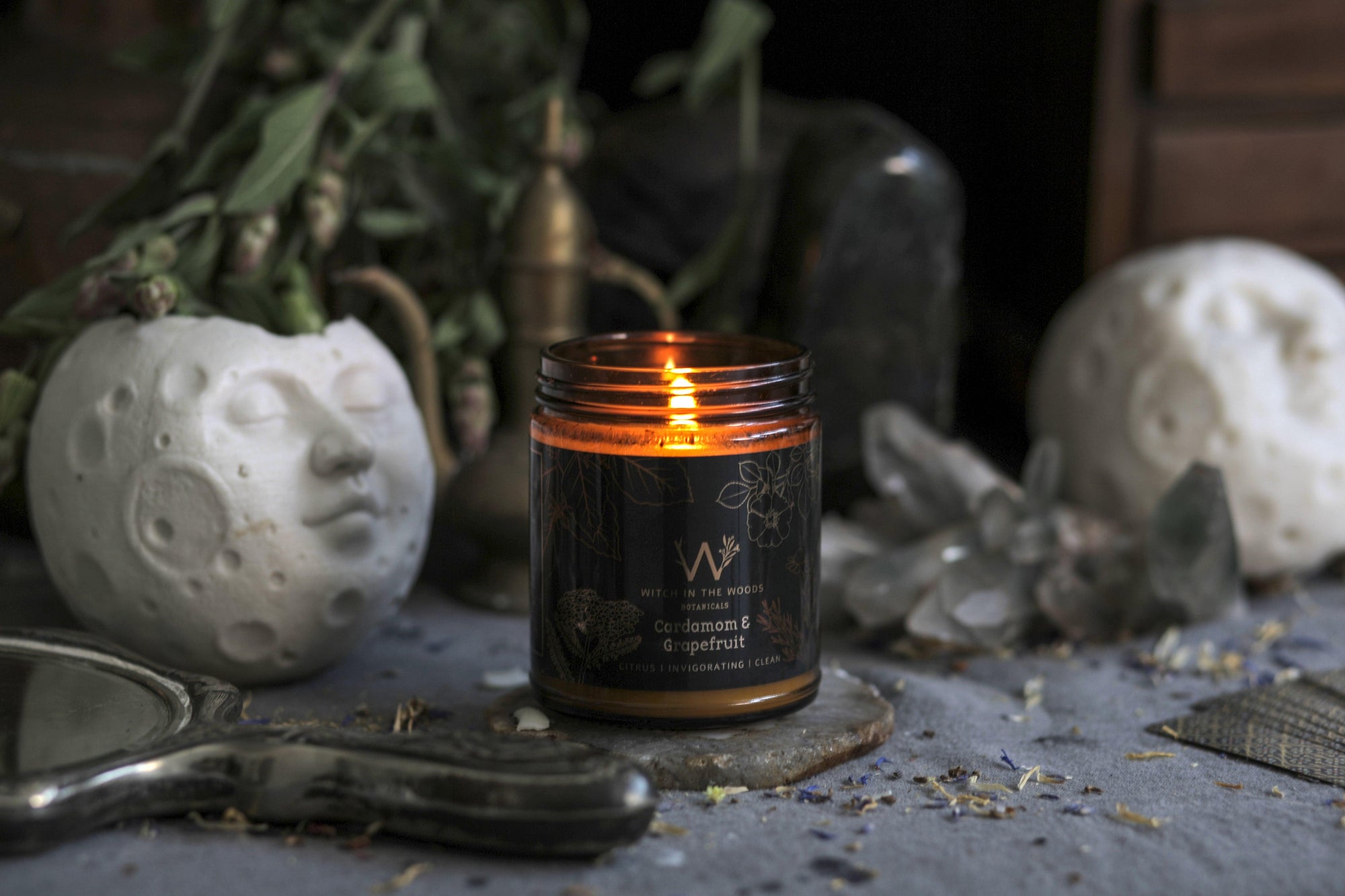 Soy Candle // Cardamom Tea + Grapefruit - Witch in the Woods Botanicals