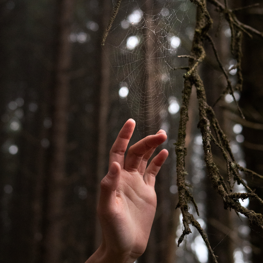 Scorpio Season Magick