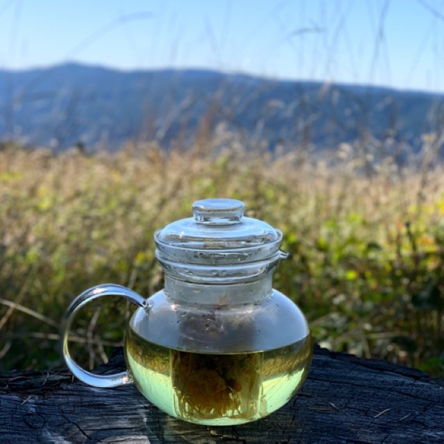 Tea Time | Witch in the Woods Botanicals 