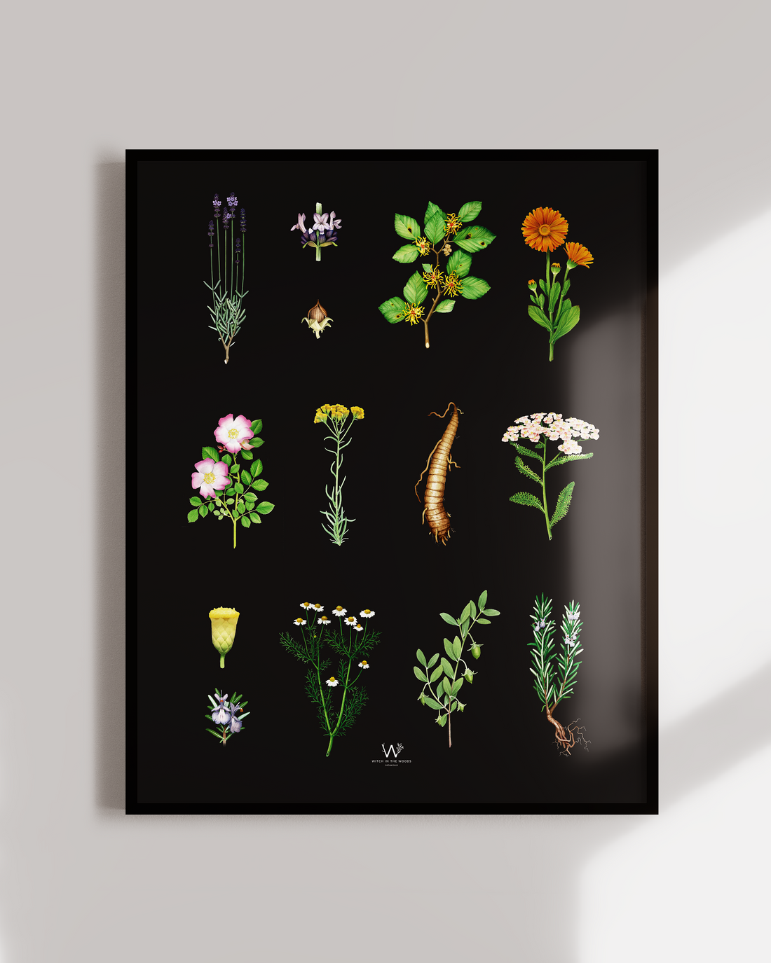 Local botanical print