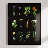 Local botanical print